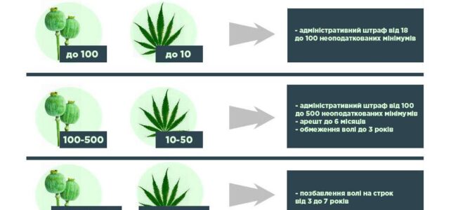 Відповідальність за незаконний посів вирощування маку та коноплі Відповідальність за незаконний посів вирощування маку та коноплі