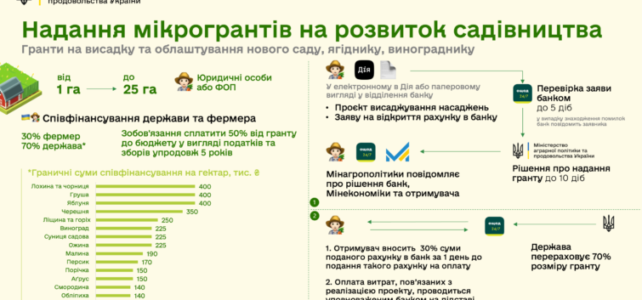 Уряд затвердив програми безповоротних грантів на створення теплиць і садів